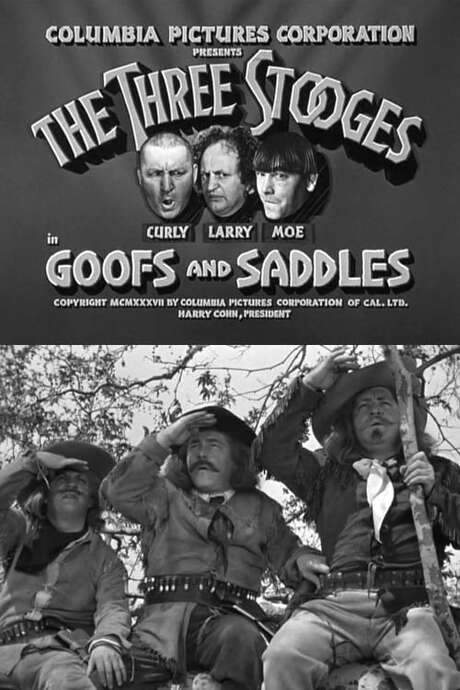 Goofs and Saddles